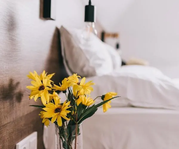 Pensión Fata Birtok 3*