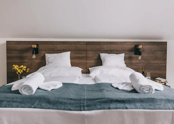 Pensión Fata Birtok 3*